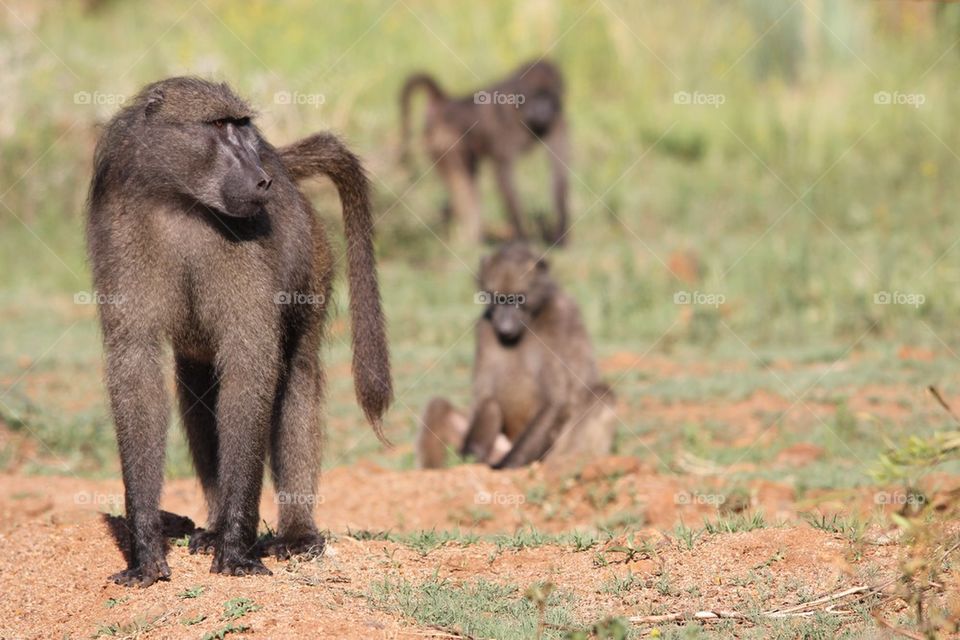 A matter of perspective