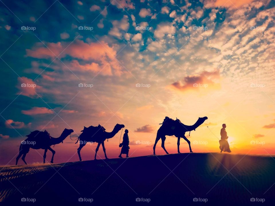 Vintage retro effect filtered hipster style image of Rajasthan travel background - two indian cameleers with camels silhouettes in Thar desert dunes on sunset. Jaisalmer, Rajasthan, India - Image