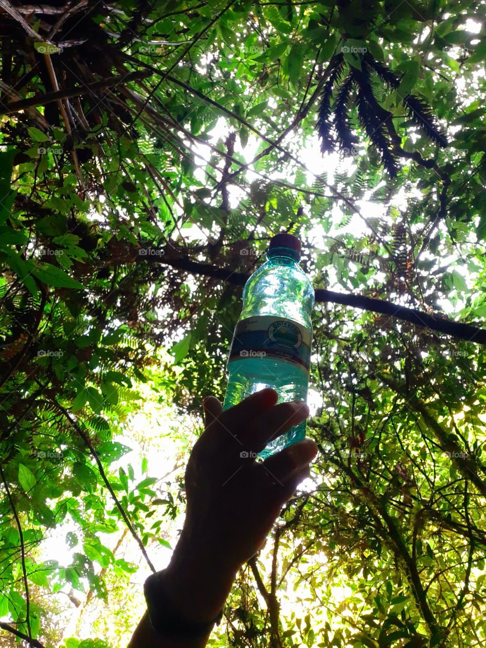 Água, elemento essencial, vital para os seres vivos, mas pode se acabar se não houver equilíbrio na natureza