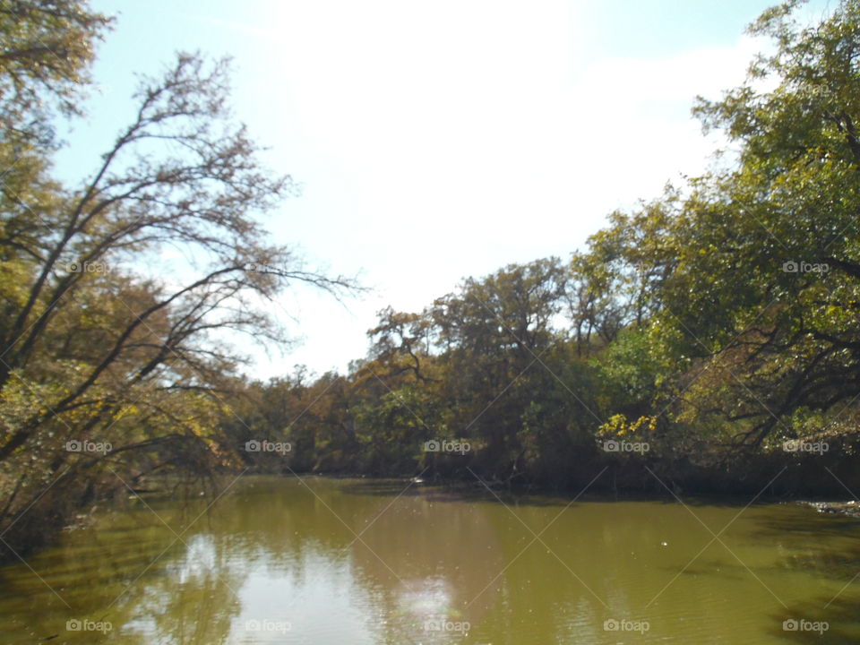 Brazos river 3. This is a picture of a secret fishing 🎣 spot.