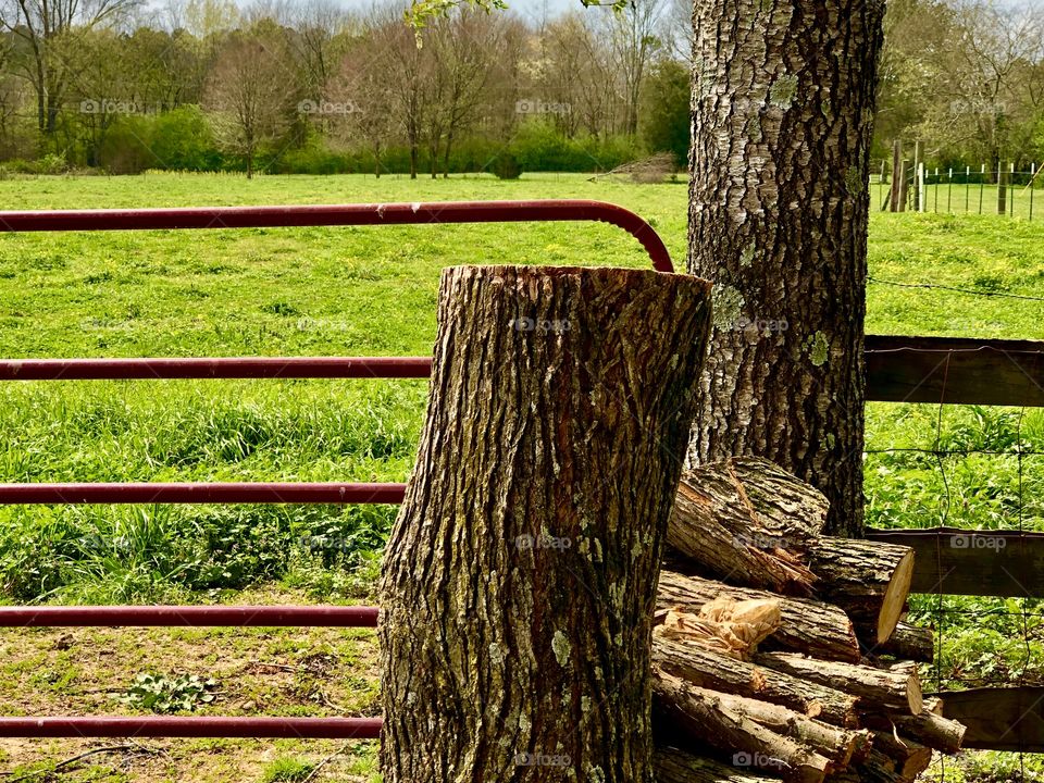 Preparing for winter while the sun shines