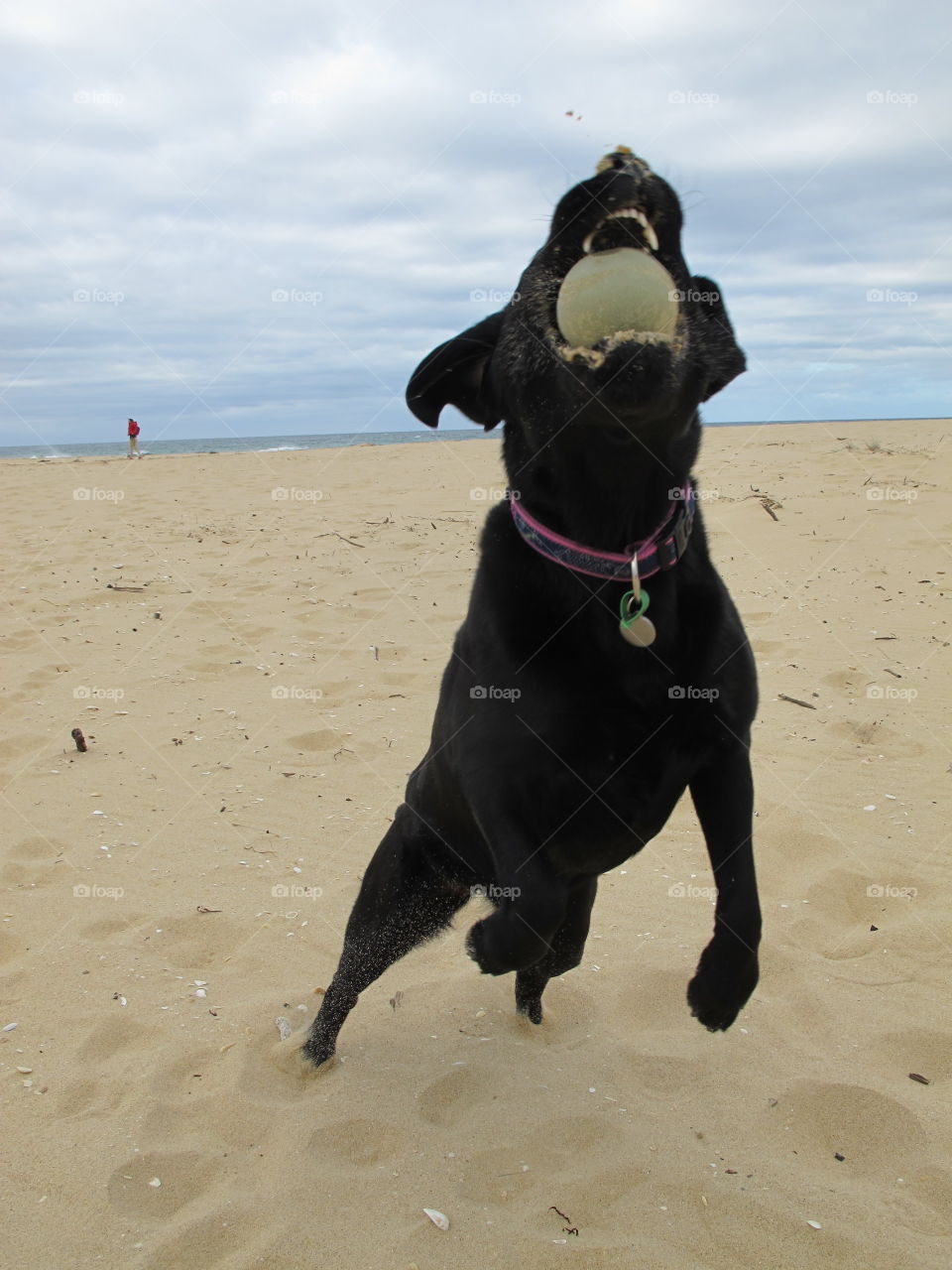 I love playing ball at the beach
