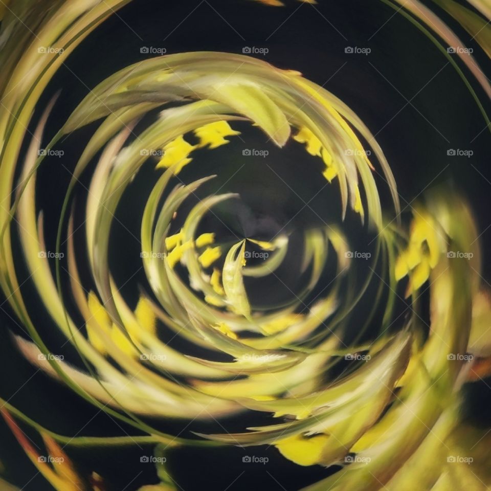 Contrast abstract colorful