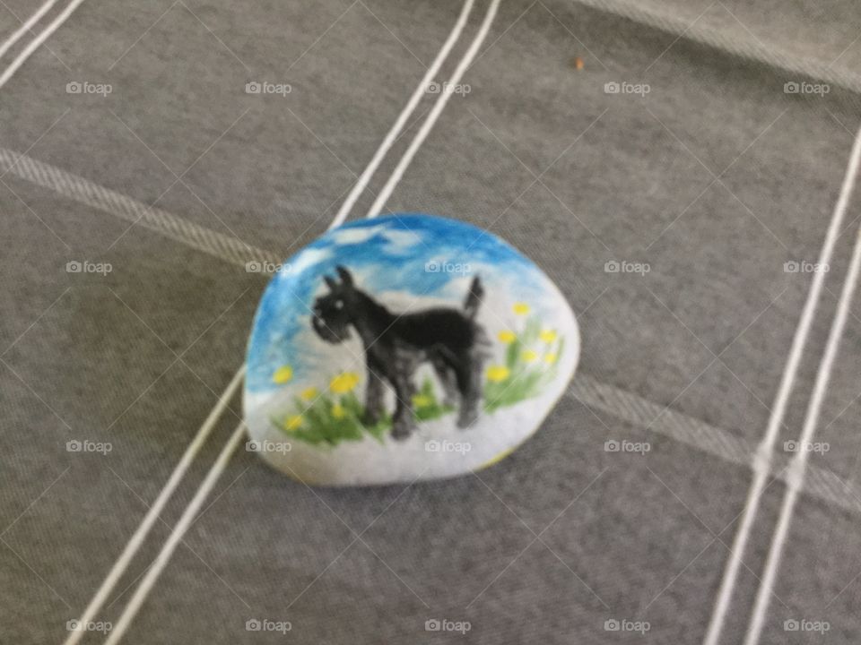 Stone Painted with a dog on it