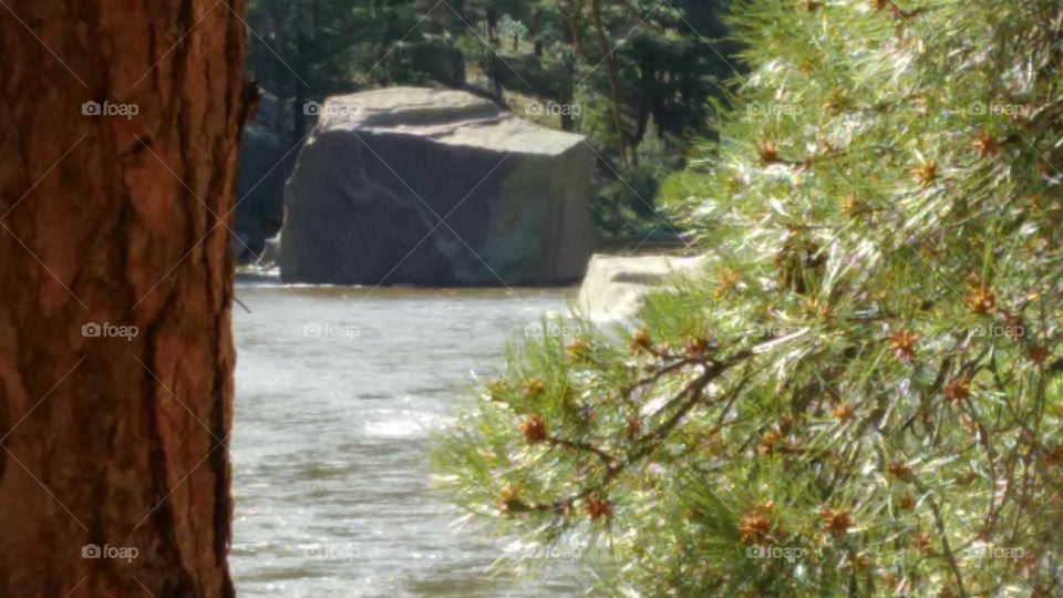 water, Boulder and Trees