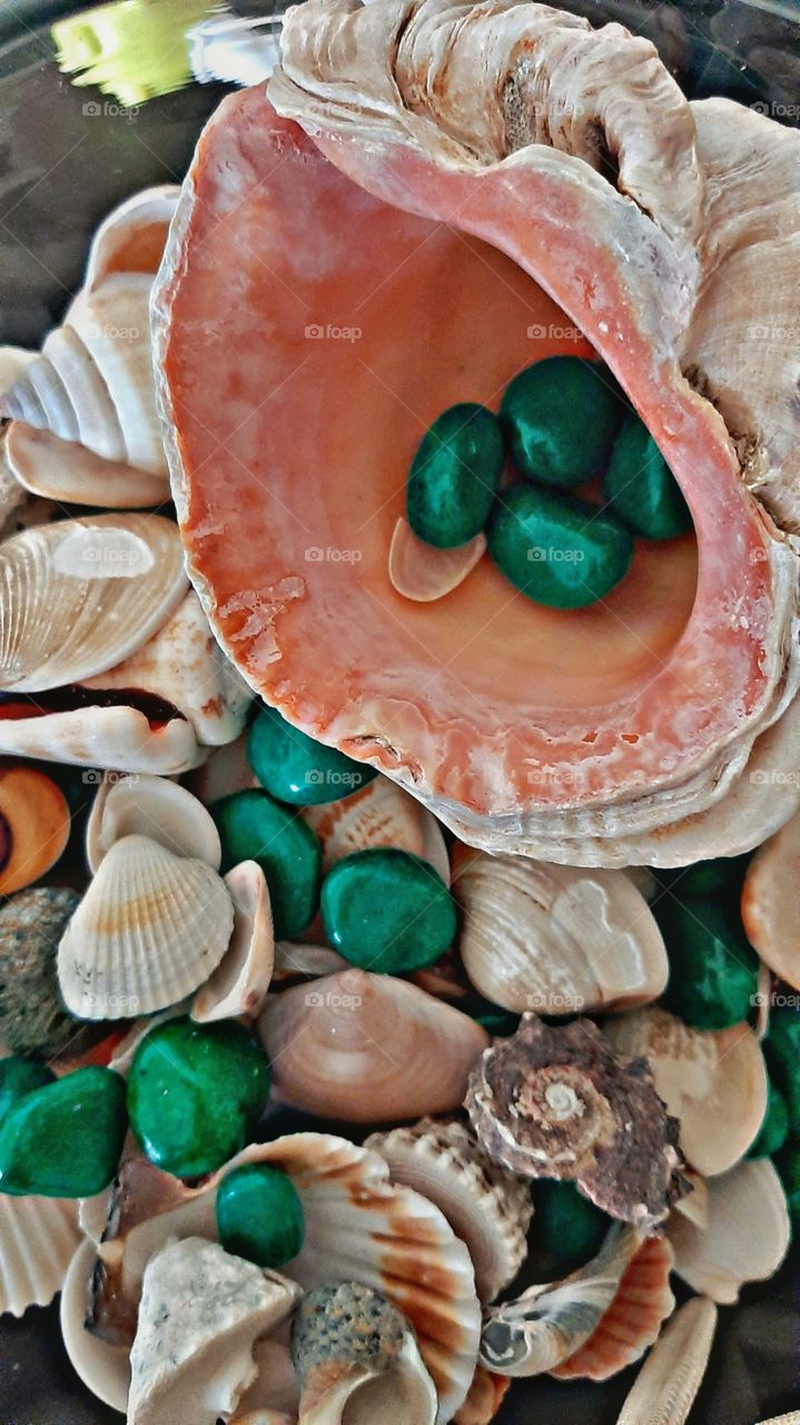 ракушка с зелеными камнями