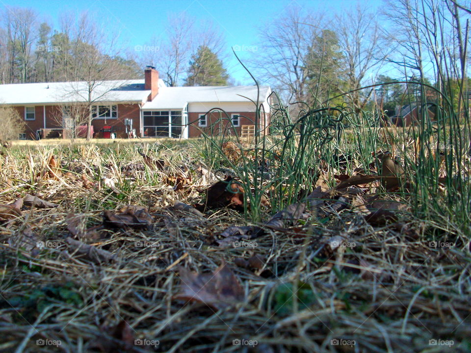 House, No Person, Grass, Outdoors, Wood