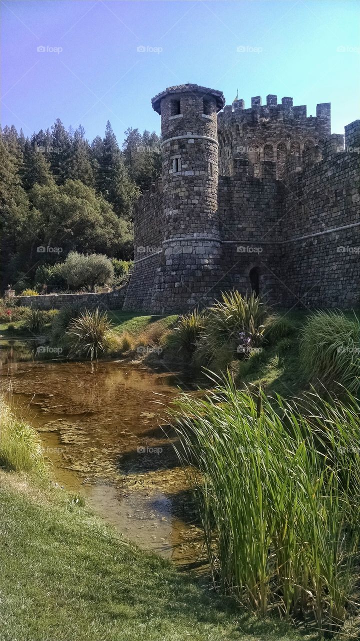 Beautiful moat of the castle