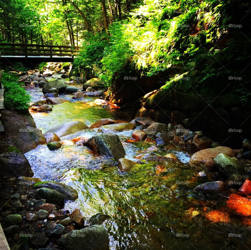 Franconia Notch State Park 