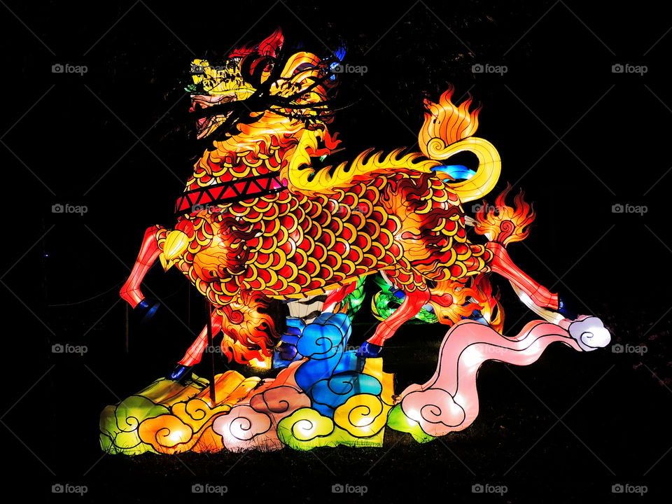 China Lights Dragon (111)