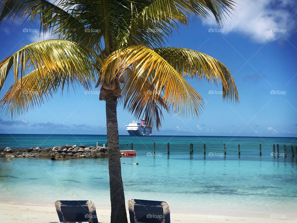Vacation Beach view, palm tree, Carnival Cruise Ecstasy, Princess Cays, Bahamas 