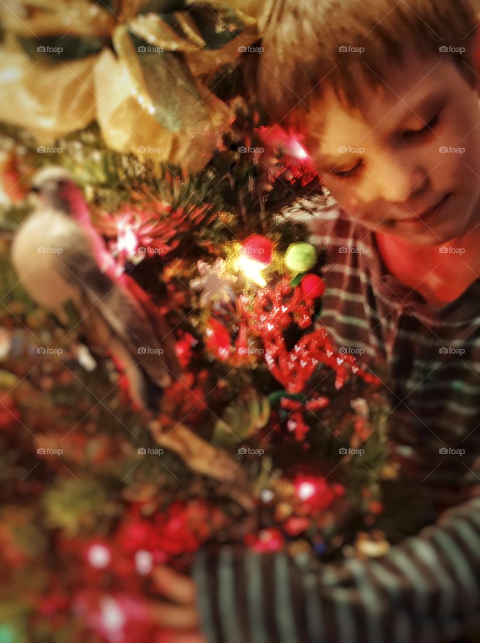 Boy Hugging His Christmas Tree
