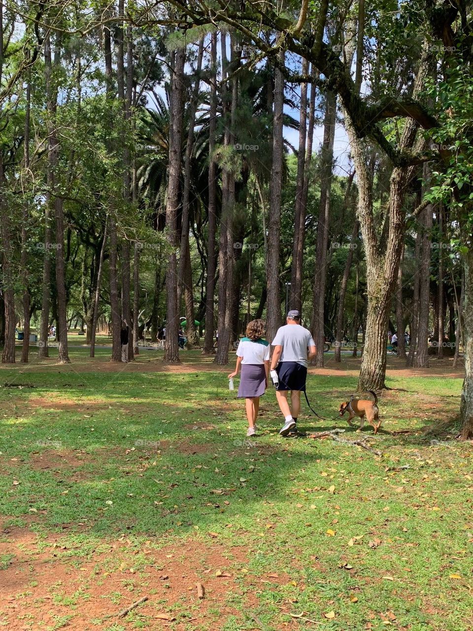 Father and daughter walking their dog in the park