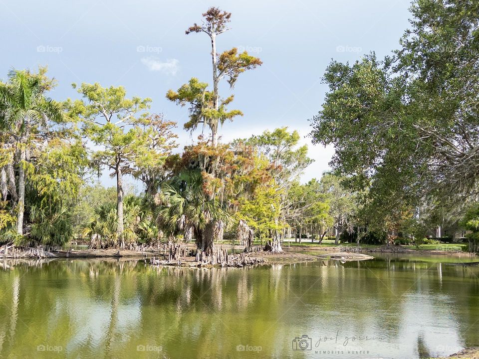 Beautiful landscapes