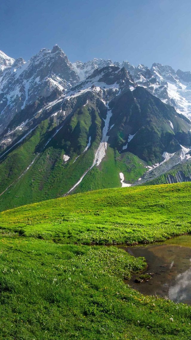 nature
