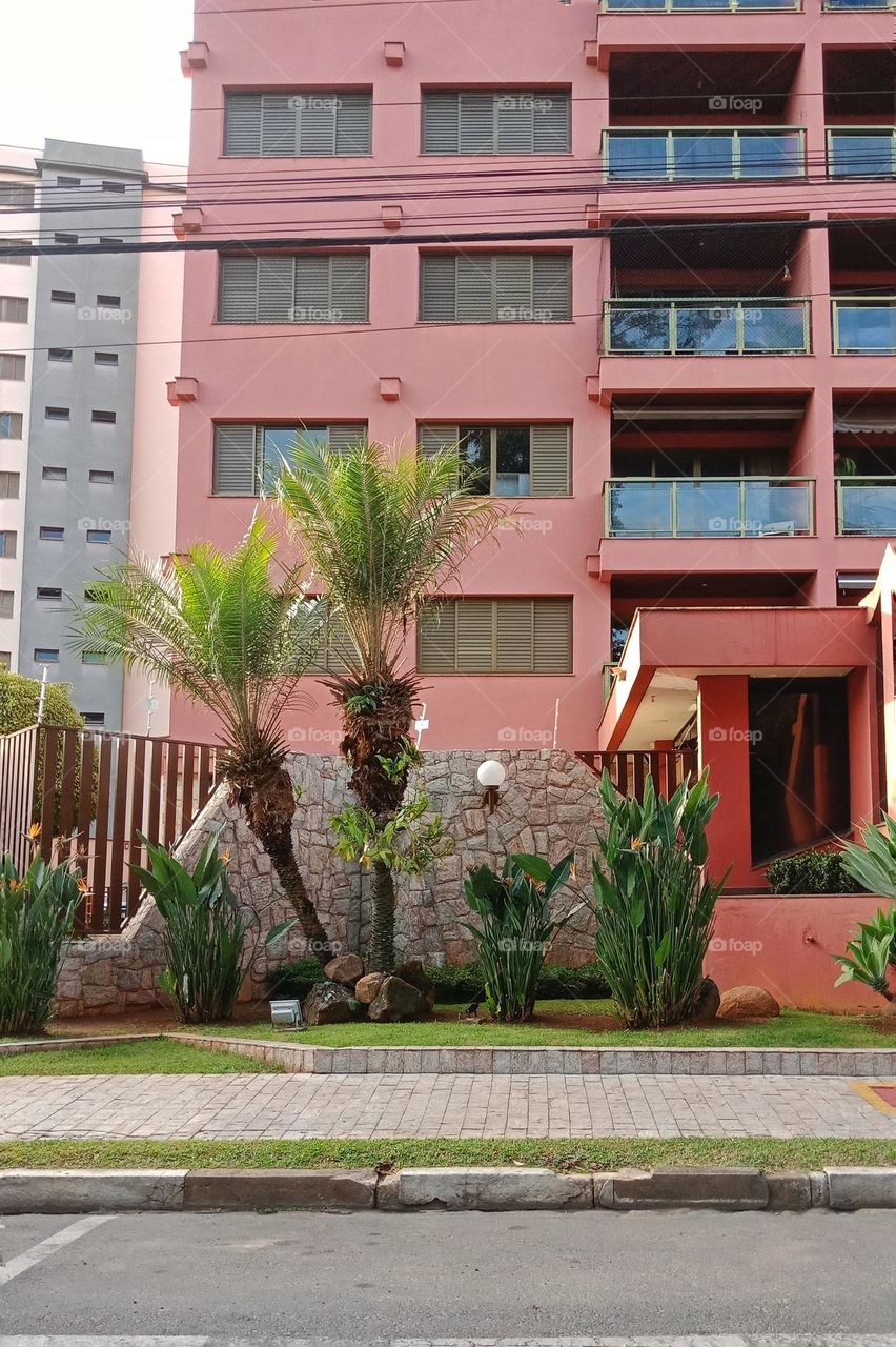 Building front garden, palm trees and other plants