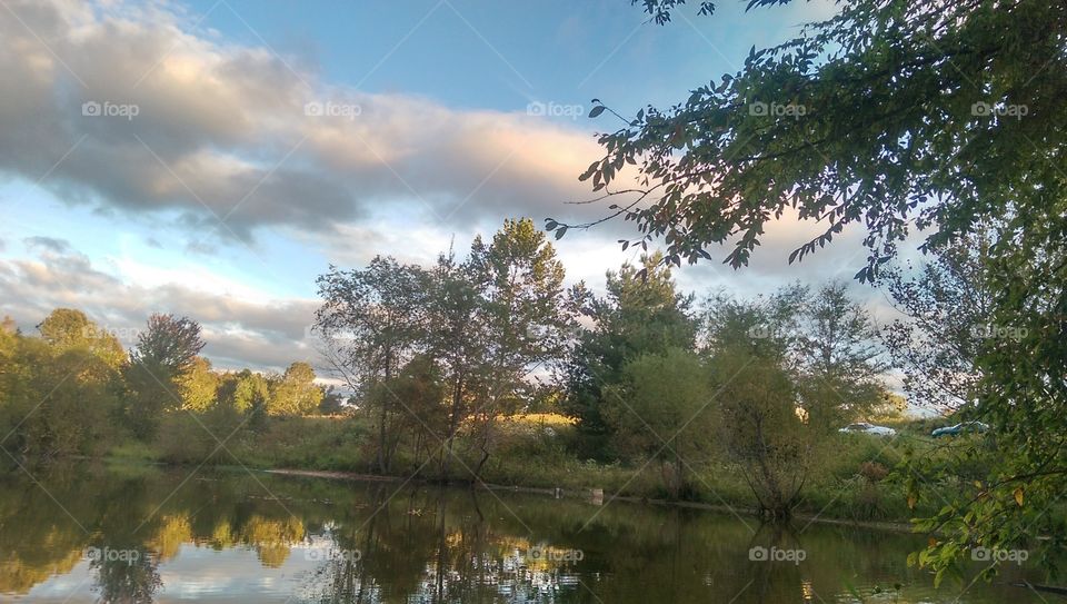 Tree, Landscape, Lake, Nature, Reflection