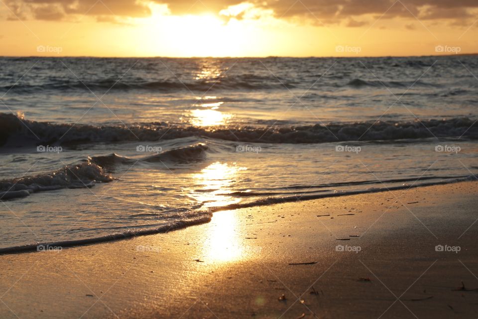 Sandy ocean shore at sunset in the golden hour