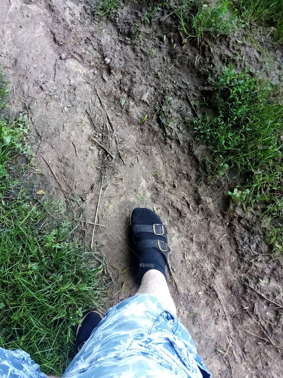 Wald