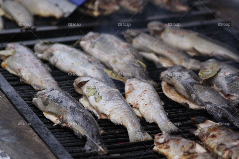 Grilled Fish