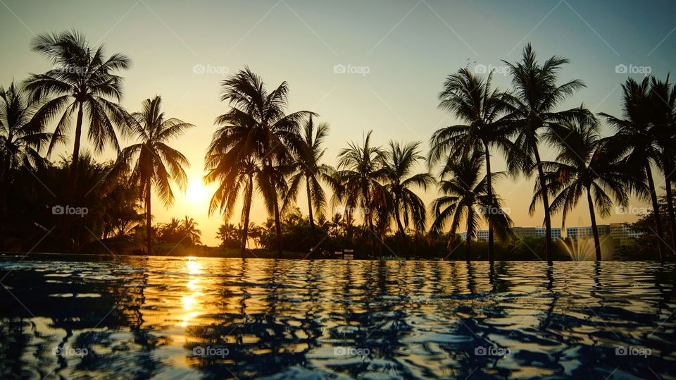 Scenics view of palm tree on beach