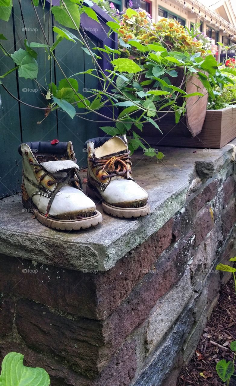 Very old (and probably wise) hiking boots, sit retired in a Rhode Island garden.