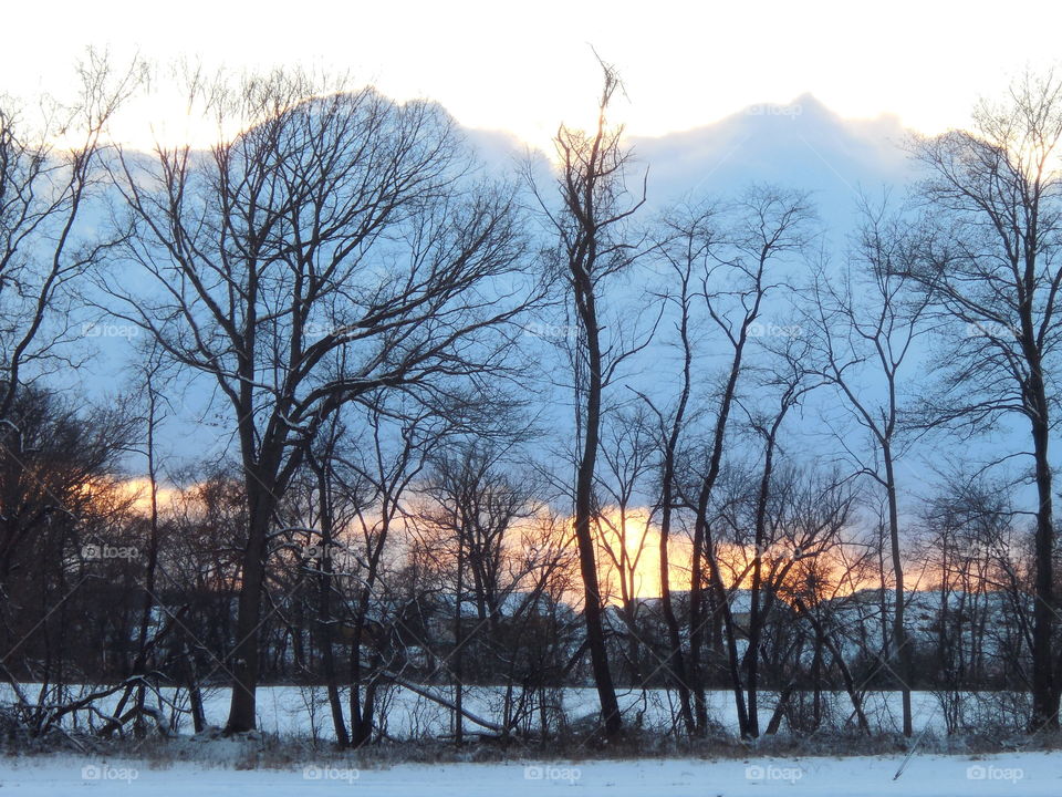 sunset winter clouds trees silhouettes field scene