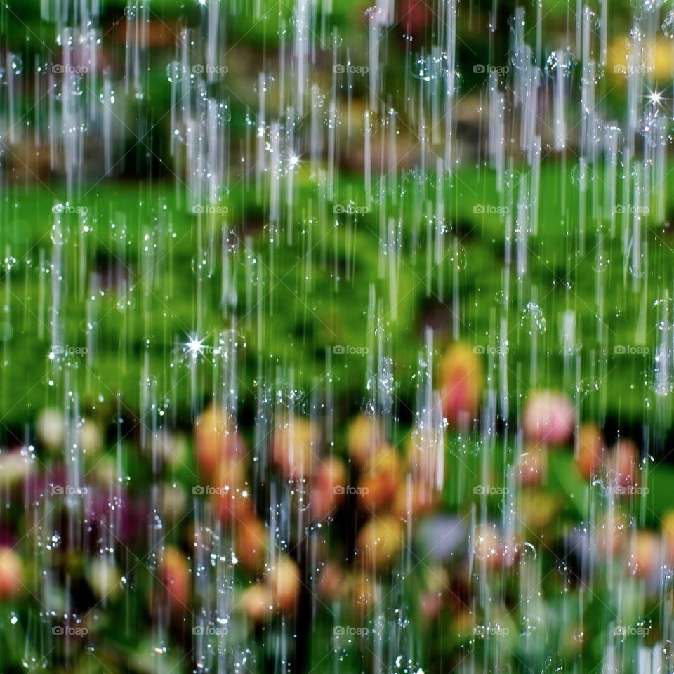 Drops