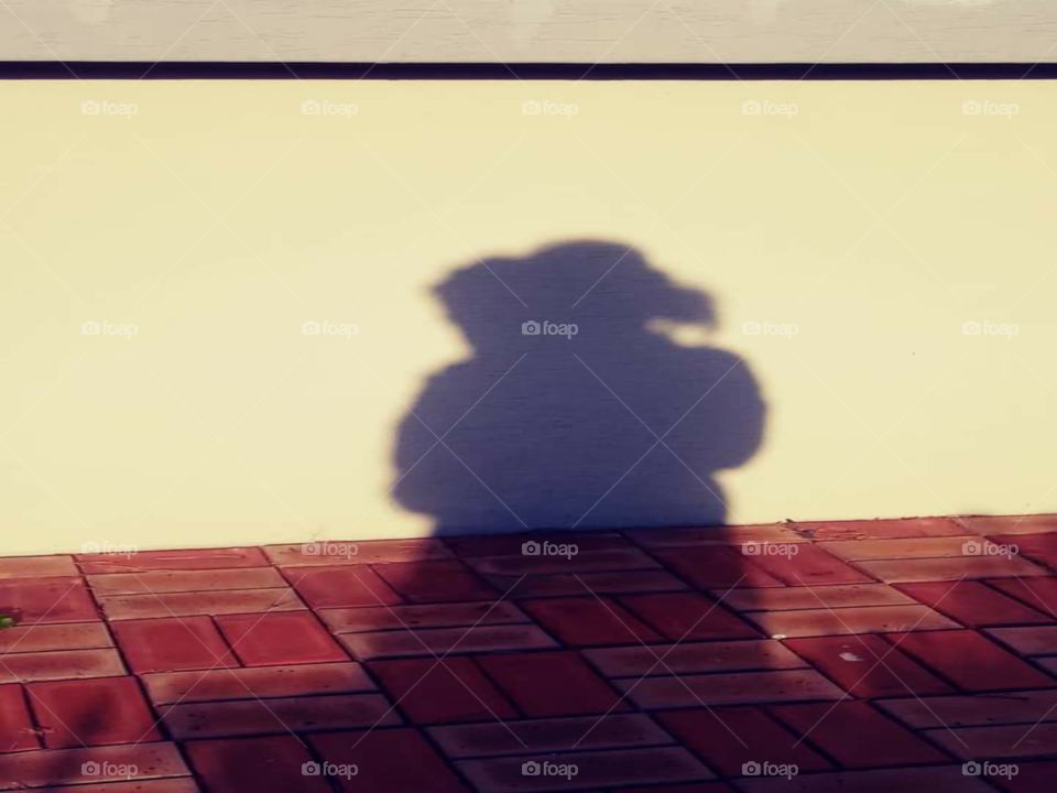 an shadow of a child and a mother  who hug her daughter from the back and she's talking to her daughter about how the natures looks like for her daughter  is blind.