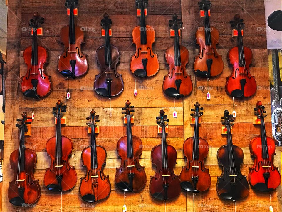 Violins on Wall