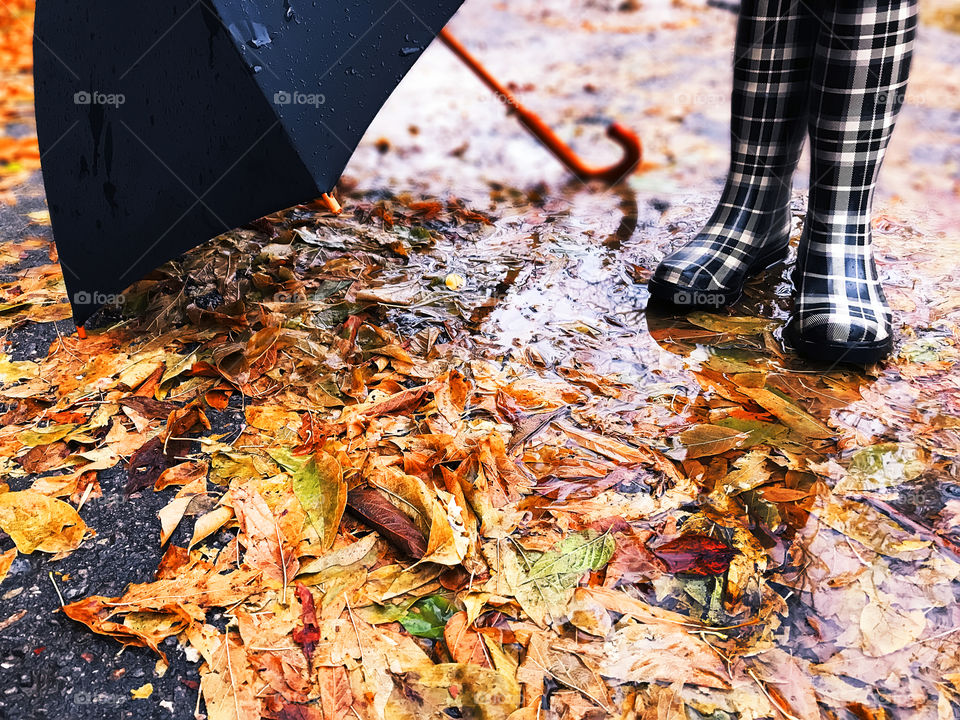 Female rubber boots and wet umbrella standing on the road with autumn leaves 