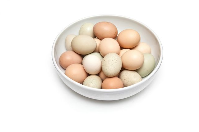 Free range chicken eggs 