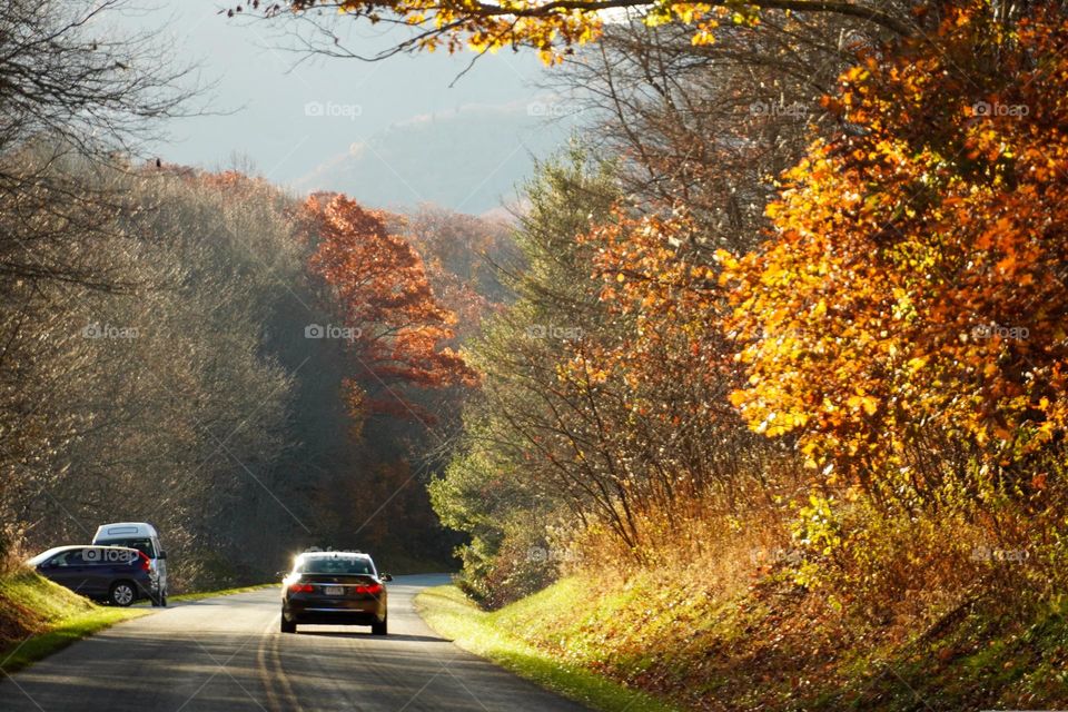 Highway Fall View * Vista de carretera en otoño