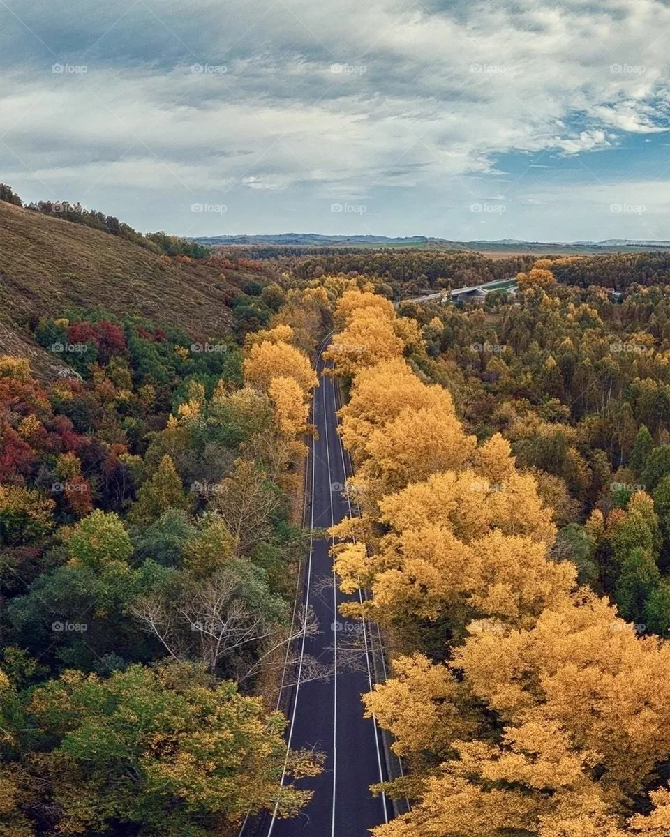 Autumn 