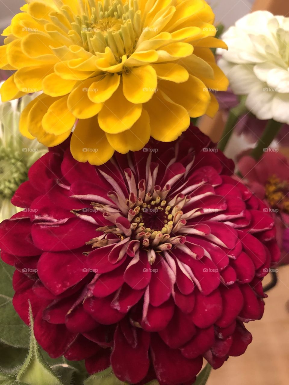 Gardening and placement 