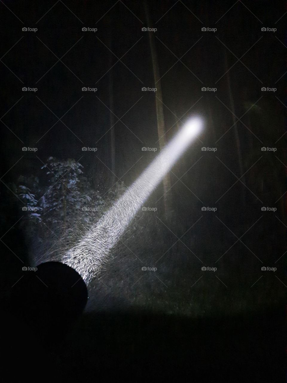 A photo taken in the middle of a foggy night with my torch light in sri lanka