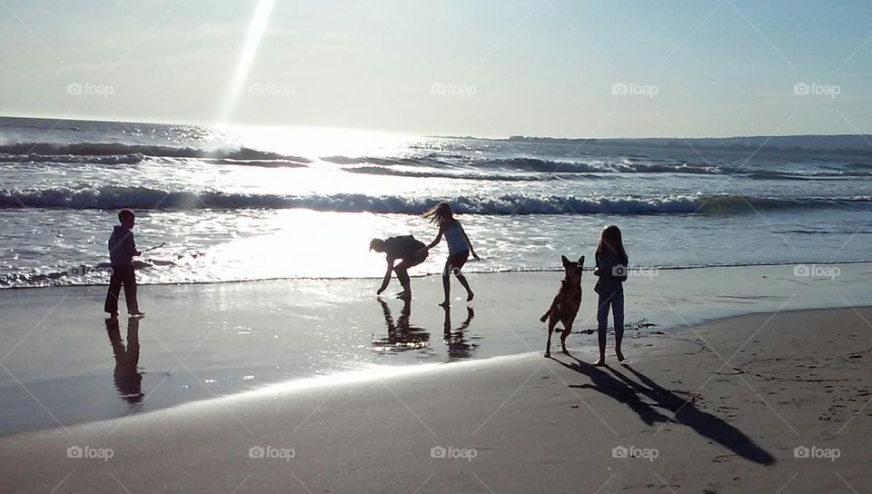 frolicking spring . playing in the California ocean as the sun begins it's decent 