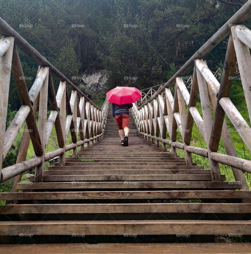 Climbing a long forest wooden staircase