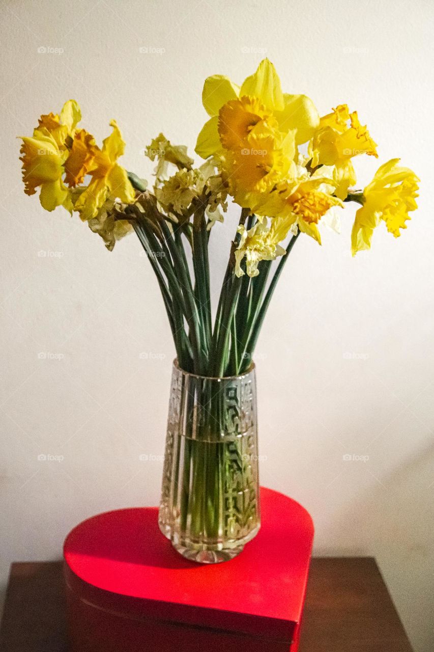 Narcissus flowers in a vase