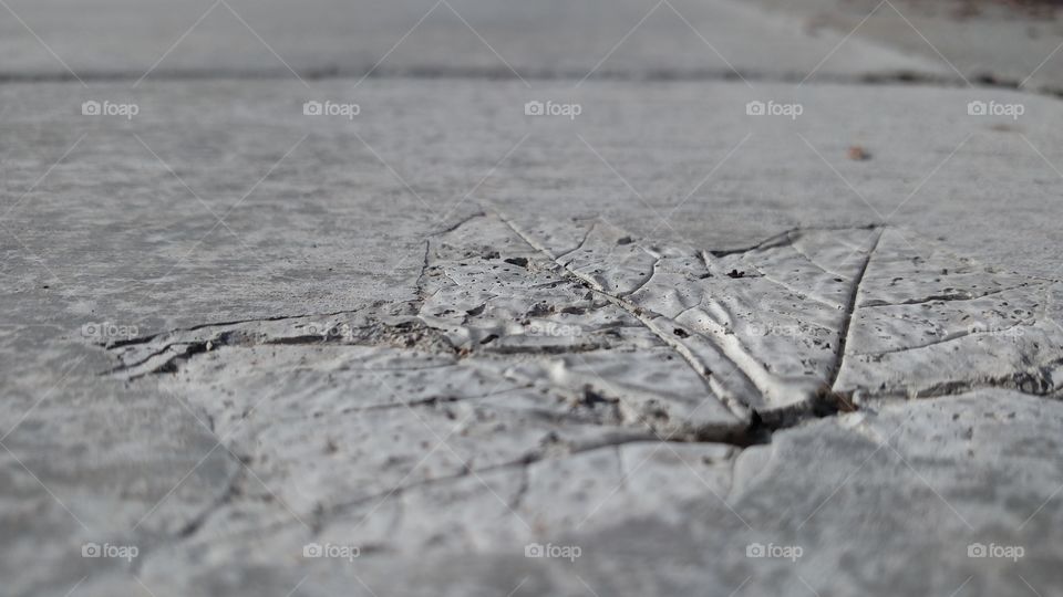 Leaf imprint in cement.