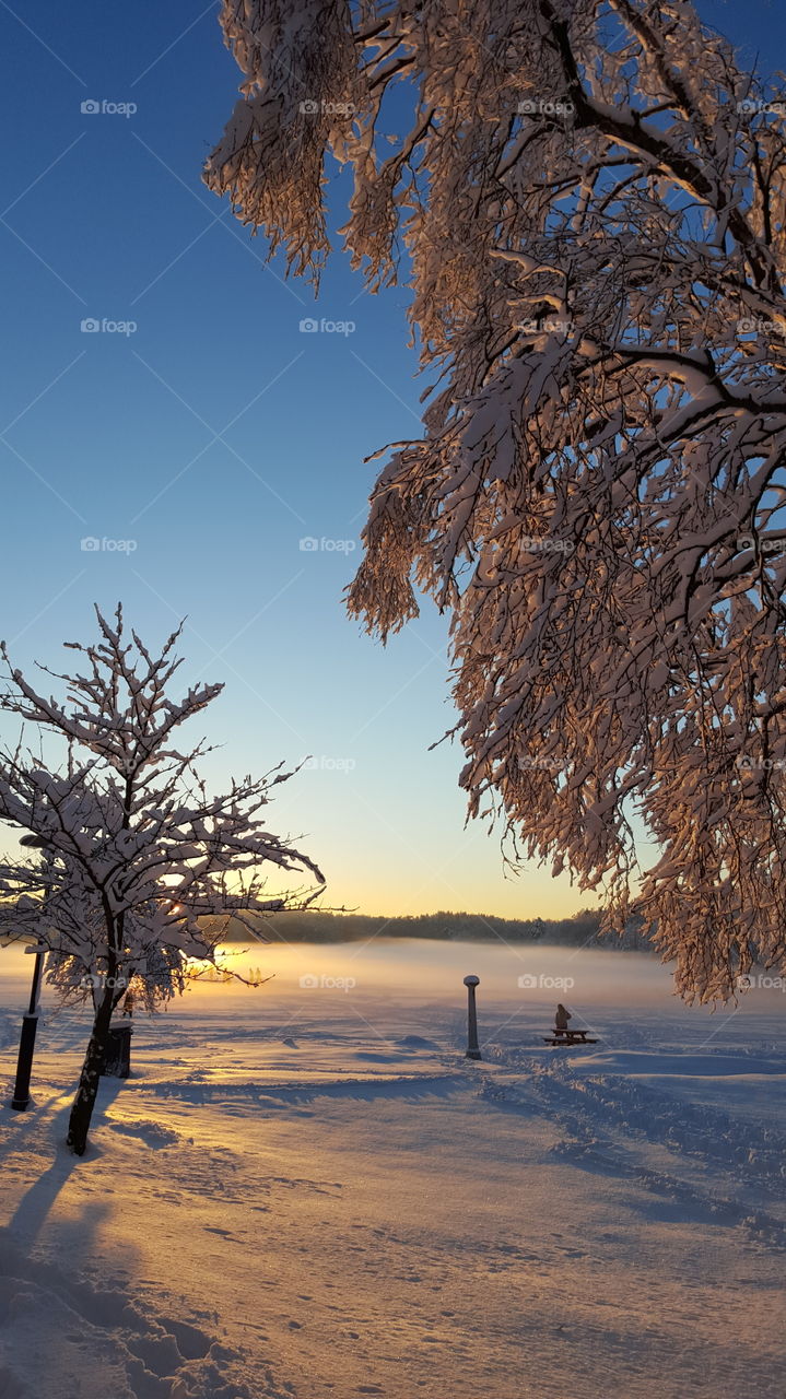 Snowy landscape in morning