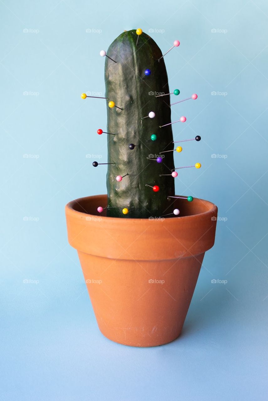Cactus creatively constructed from a cucumber and an assortment of colorful sewing pins 