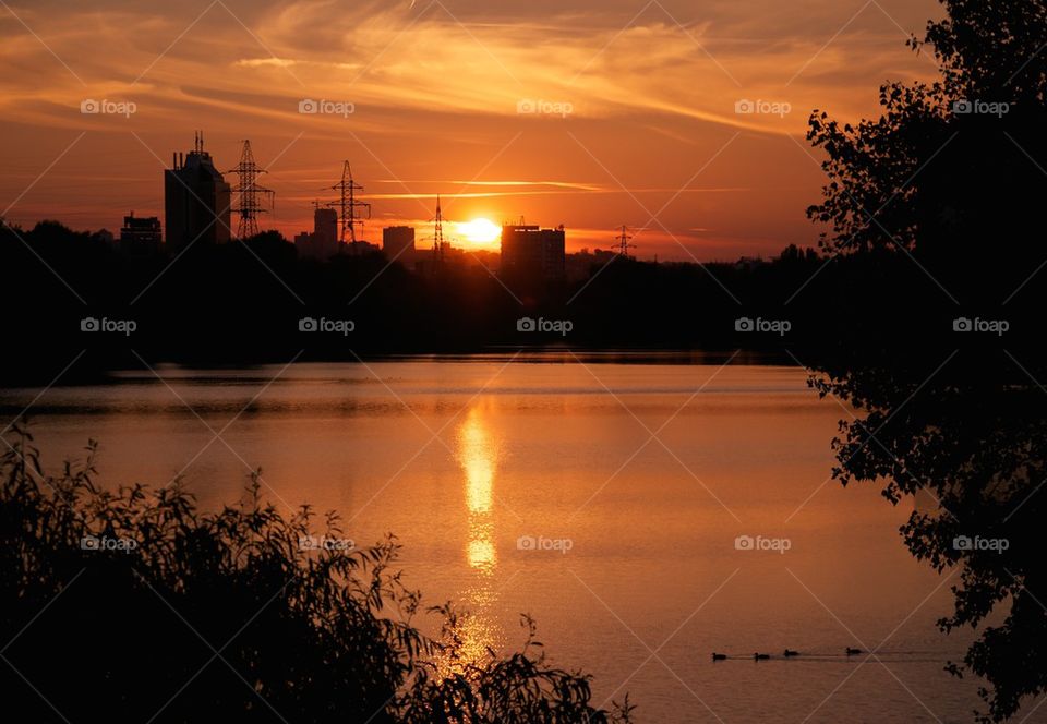 beautiful sunset, bird in sky, beautiful clouds, evening, fog overwater, evaporation, quiet, rest, nature