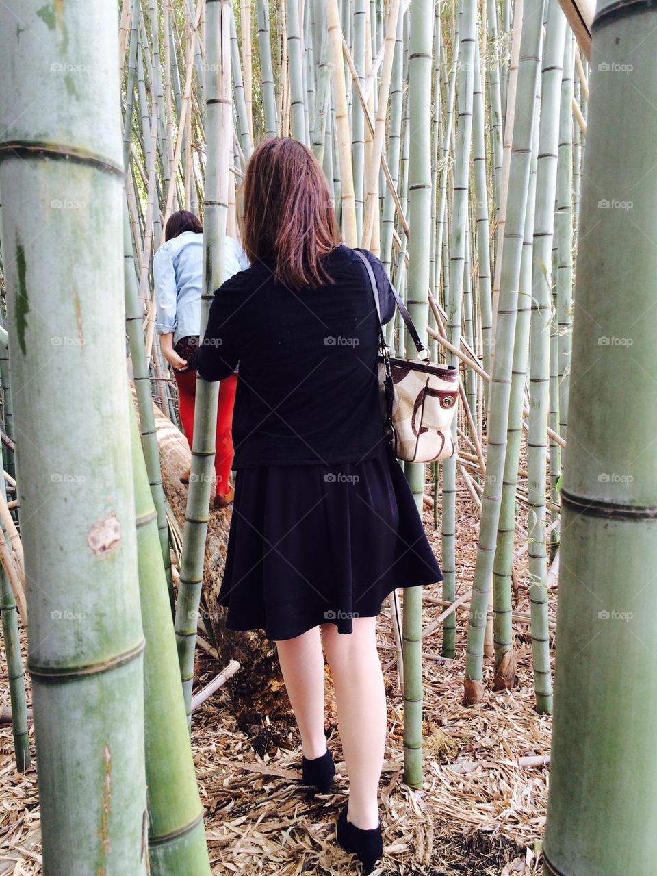 Bamboo