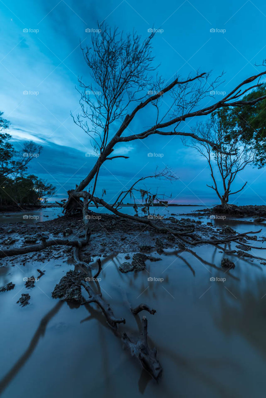 gocong, vietnam