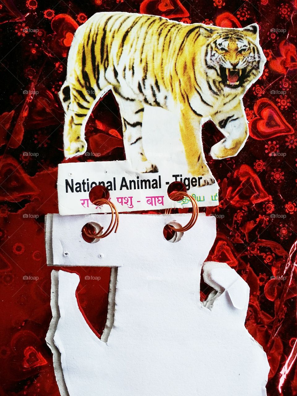 the face book of INDIAN National animal - Tiger.
it's the first book entire the worldwide on it and no one like this in the world till now.
if you want to earn money with it you should download it's first photograph at the first sight and keep it and share it.