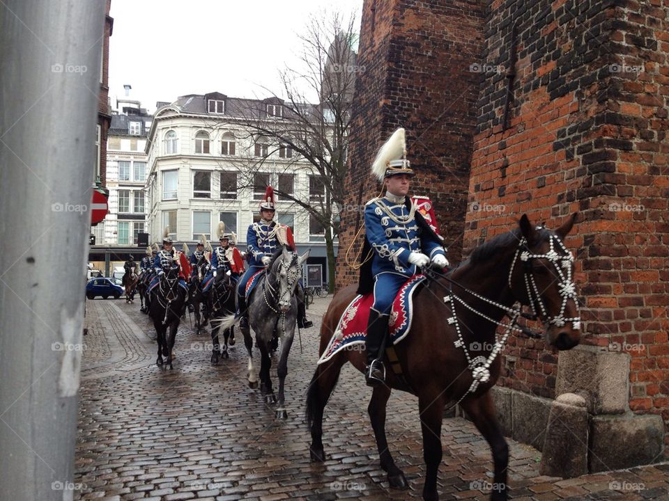 horse guards copenhagen denmark by nils