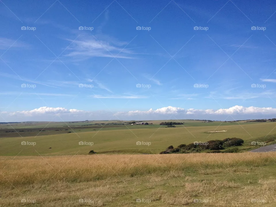 Field