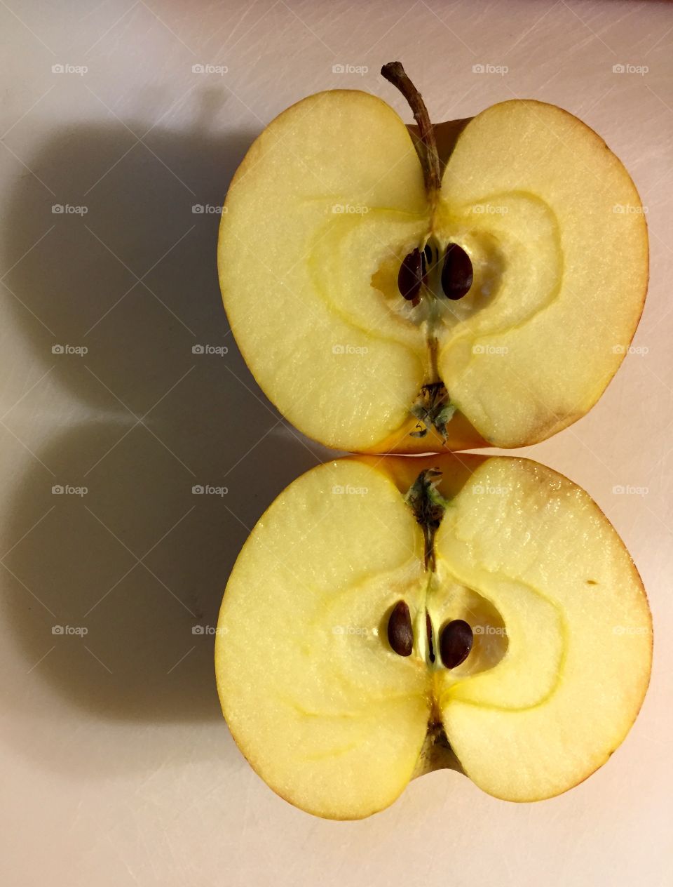 Cross section of an apple