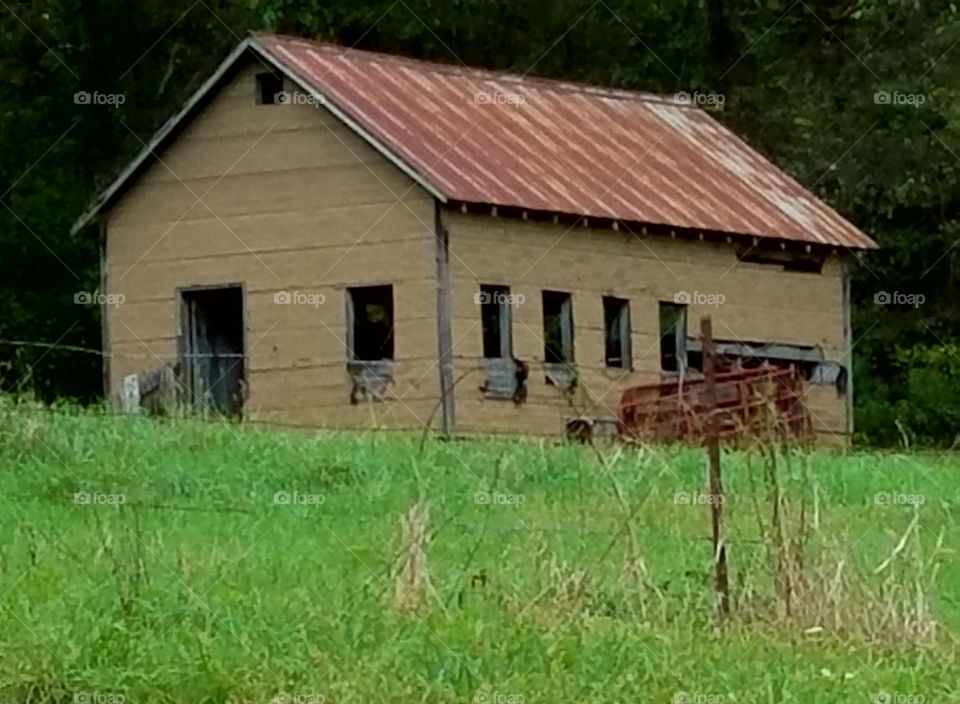 Driving the Back Roads and enjoying everything around us